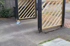 catproject2023-09-20-at-18.29.38-4