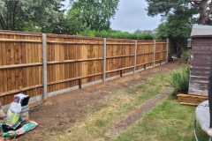 catproject2023-09-20-at-18.29.38-7
